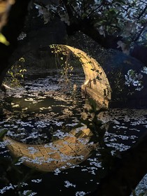 我爱虐文