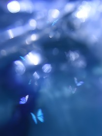 遗落的星辰……