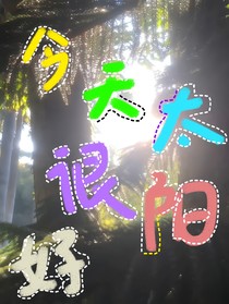 今天太阳很好