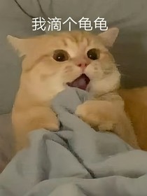 故事开始前