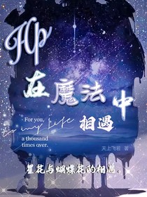 HP在魔法中相遇