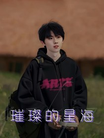 璀璨的星海