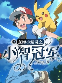 宠物小精灵之小智冠军