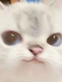 王牌对王牌：初见钟情