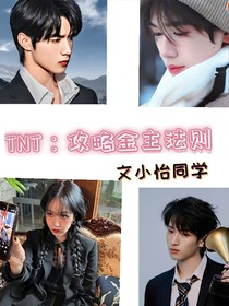 TNT：攻略金主法则