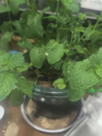 相约尘世