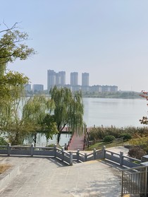 鸿门宴——多情刺客