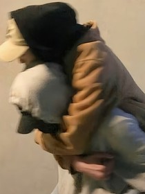 博君一肖甜宠文
