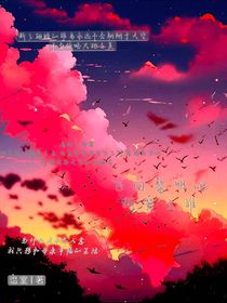飞翔吧，断翼之雏
