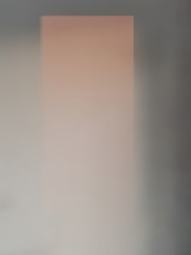 神经病发疯日常