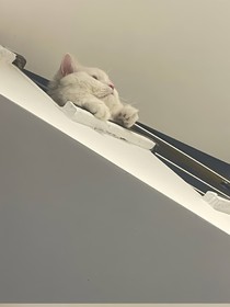 APH：风月同天