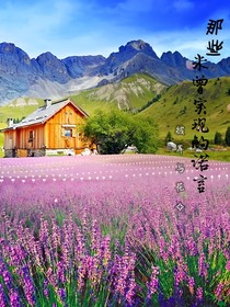 那些未曾实现的诺言