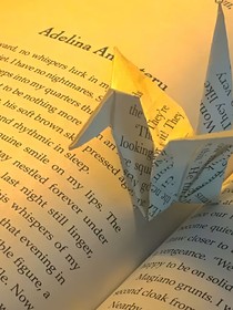 绵绵情思梦