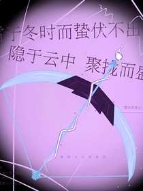 紫菀花田