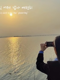 再见，是你的fan