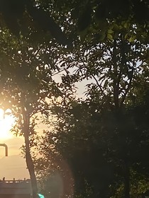 下雨天—隨筆