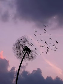 十年之约回忆篇