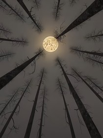 许愿时溯源声声