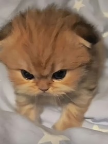 我的原创短篇小说