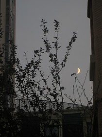 21中回忆录
