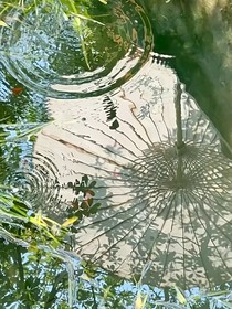 有你在就是盛夏