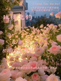 玫瑰之约1