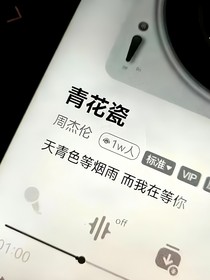 你也许爱过我
