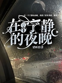 在一个宁静的夜晚