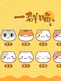 历喵穿越南非历史