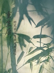 重生后好兄弟总想成为我道侣