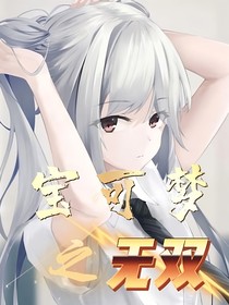 宝可梦之无双