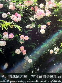 归殒