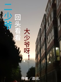 二少爷！回头看看大少爷呀！