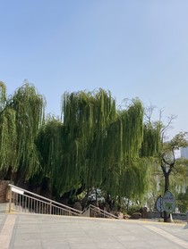 鸿门宴——血染乌江