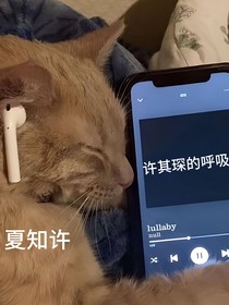 稚楚同人