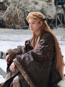 大夢歸離：婳中之英