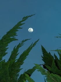 月下晴光