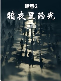 暗巷2暗夜里的光