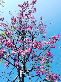 深淵中的真相