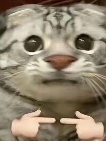 生死有别