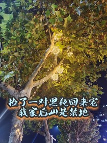 捡了一对黑瓶回来宠：我家后山是禁地