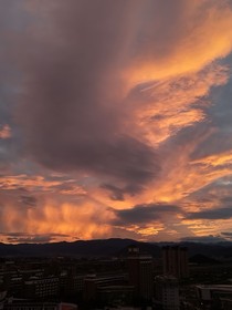心动只在一顺