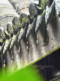 待雨過天晴時