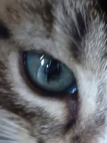 重生之戒爱