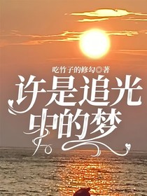許是追光中的夢