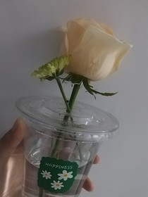 我的建议是，别谈