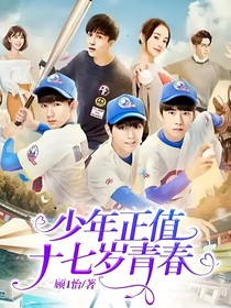 少年正值十七岁青春