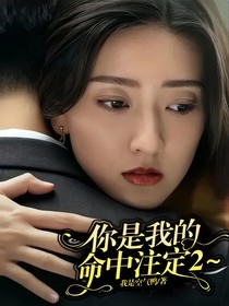 你是我的命中注定2～