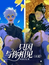 只因与你相见（五夏）