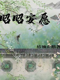 昭昭安愿